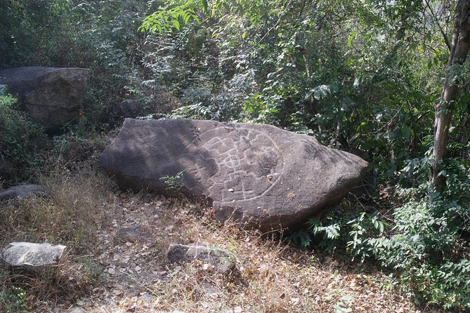 Palma Sola Petroglyphs Archaeological & City Market W/Lunch - Customer Reviews and Experiences