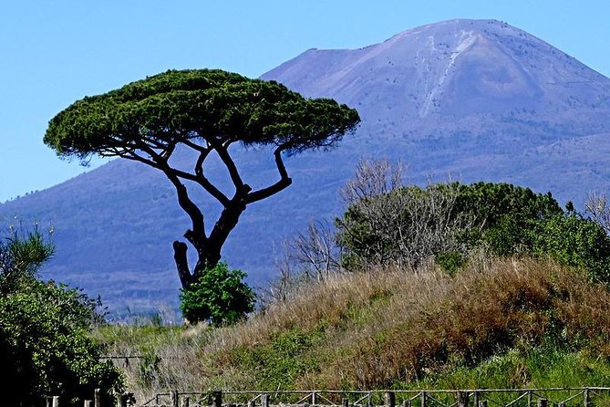 POMPEI & VESUVIO TOUR Full Day Departure From NAPLES (Entrance Fees Included) - Ask Away