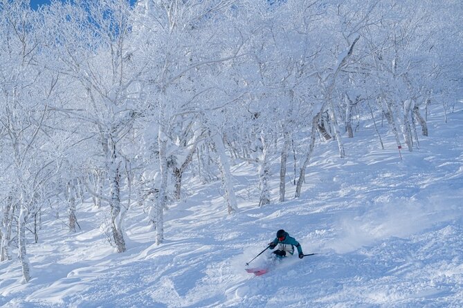 Powder Belt Pass 5 Days Ticket, Brush-Dyeing Experience - Highlights and Benefits of the Experience