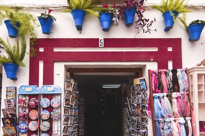 Private 5 Days in Malaga - Private Tours and Arrival and Departure Transfer - Ask Away