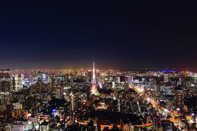 Private Amazing Tokyo Night Tour With English Speaking Driver - Explore Tokyos Nightlife