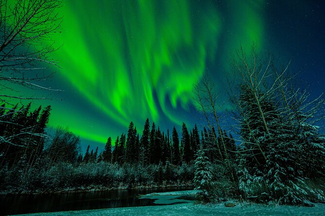 Private Aurora Viewing Experience in Fairbanks - Accessibility and Participation Information