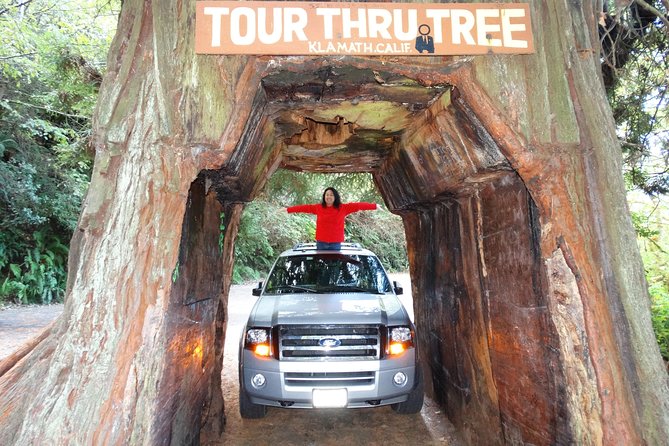 Private Avenue of the Giants Redwoods Day Trip From San Francisco - Booking and Cancellation Policy