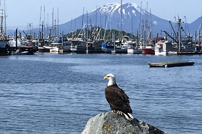 Private Charter Scenic Sea Bird Excursion Review - Frequently Asked Questions