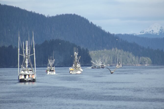 Private Charter Scenic Wildlife Excursion for Cruise Passengers - Frequently Asked Questions