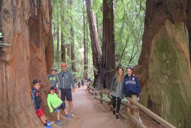 Private Cheese Trail, Wine Country & Giant Redwoods Day Tour From San Francisco - Things To Known