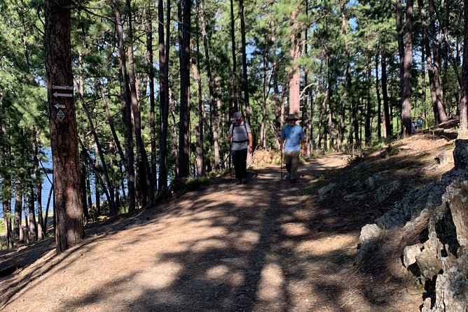 Private Custer State Park Safari and Hiking Tour - Guest Reviews and Feedback