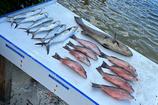 Private Fishing Charter in Tampa - Frequently Asked Questions