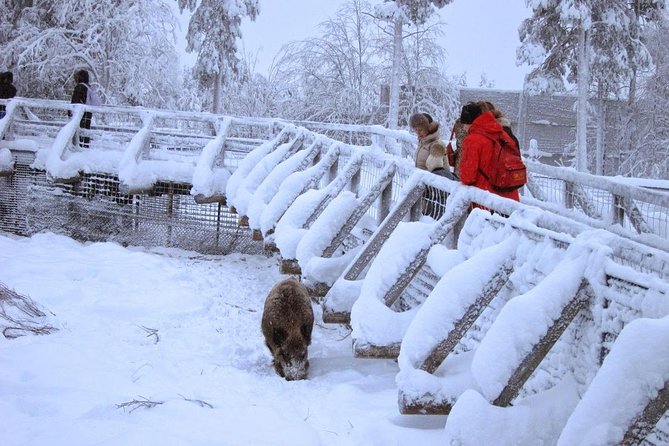 Private Guided Lapland Ranua Zoo Tour From Rovaniemi - Ask Away