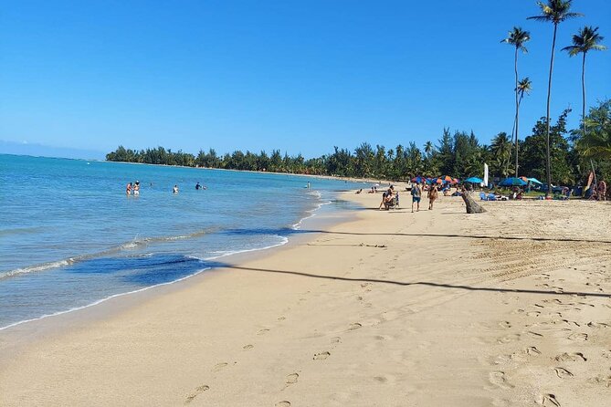 Private Guided Tour in Puerto Rico - Frequently Asked Questions