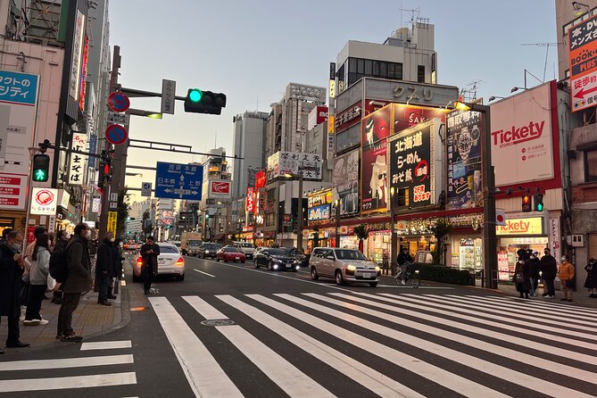 Private Half-Day Tour Colorful and Busy Street in Central Tokyo - Transportation and Accessibility