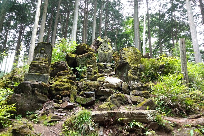 Private Hiking Activity Near Tokyo - Tips for a Successful Hike