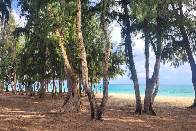 Private Hiking and Beaches Tour in Kailua Town - Discovering the Farmers Market and Scenic Vistas