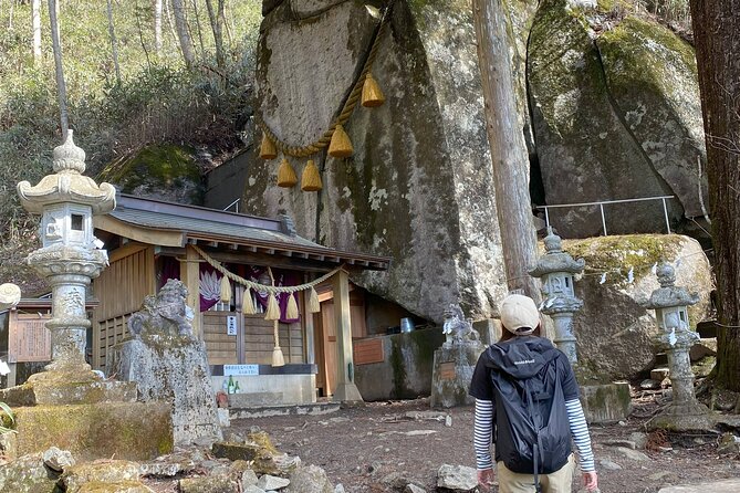 Private Hiking Tour to View Mt. Fuji - What to Expect