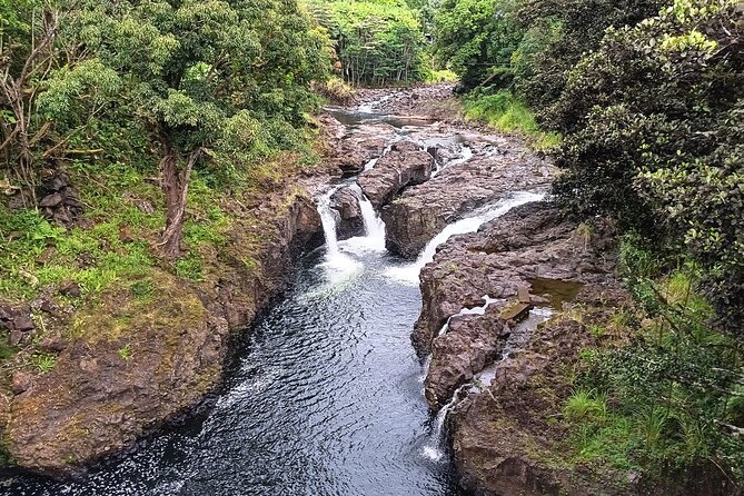 Private Hilo Shore Excursion Review - Verified Reviews and Ratings
