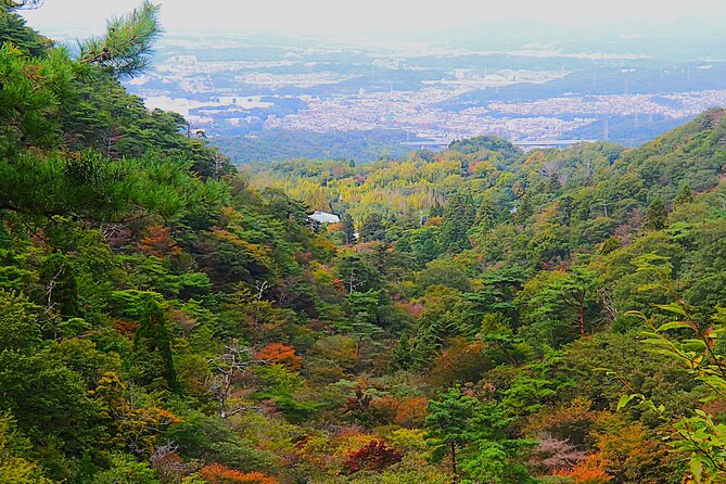 Private Historic Road Hike in the Healing Forest of Arima - Booking and Cancellation Policy