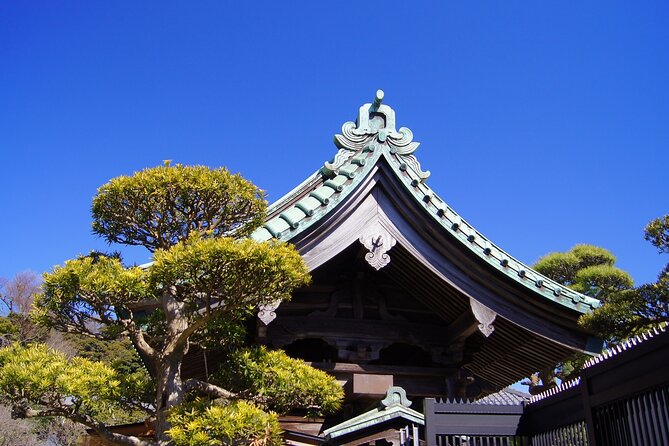 Private Kamakura and Enoshima Day Tour From Tokyo - Feedback and Testimonials