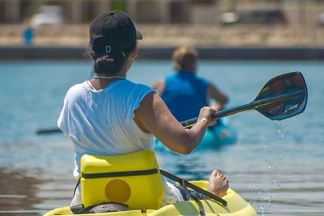 Private Kayaking Adventure Around the Mangroves and La Paz Bay - Safety Considerations During Kayaking