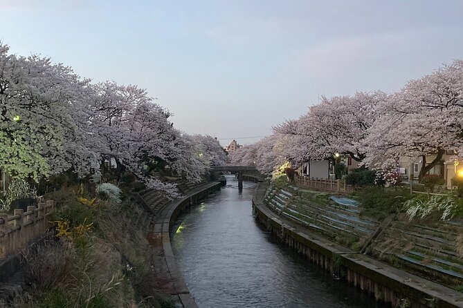 Private Kimono Stroll in Toyama City Possibly With a Shiba Inu - Exploring Toyama City With a Shiba Inu