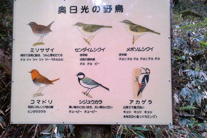 Private Morning Hike Around Nikko Toshogu Shrine - Additional Considerations