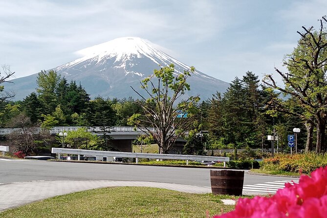 Private Mount Fuji Tour by Premium Car - Why Choose This Tour
