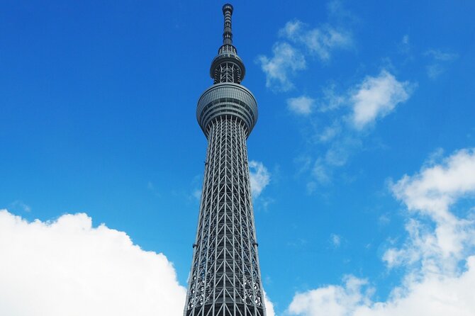 Private One Day Tour in Tokyo With Limousine and Driver - Booking Details