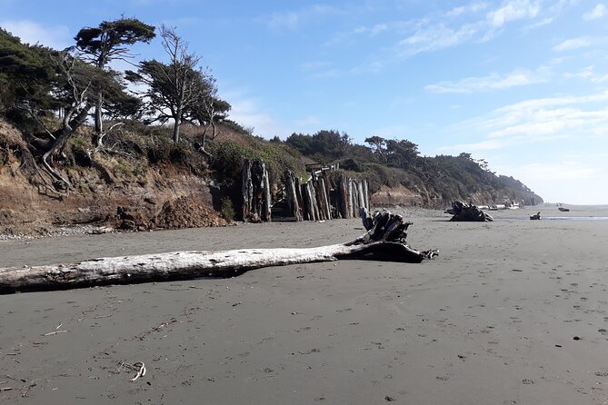Private Pacific Ocean Beach Experience - Why Choose a Private Tour