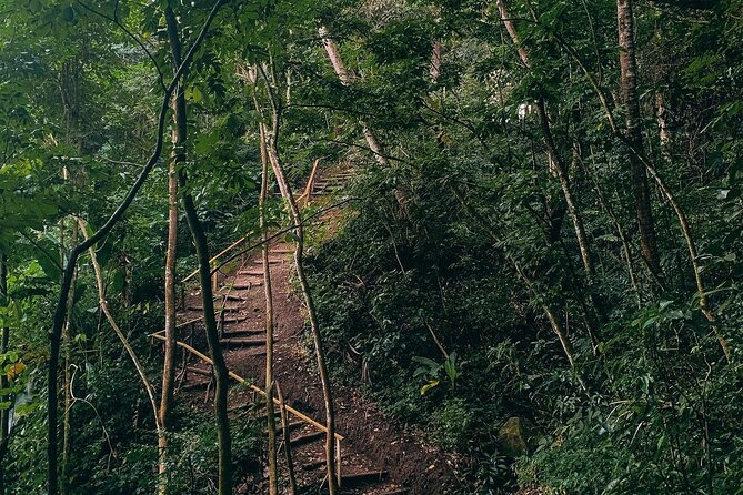 Private Petit Piton View Trail at Fond Doux - Tips for a Great Experience