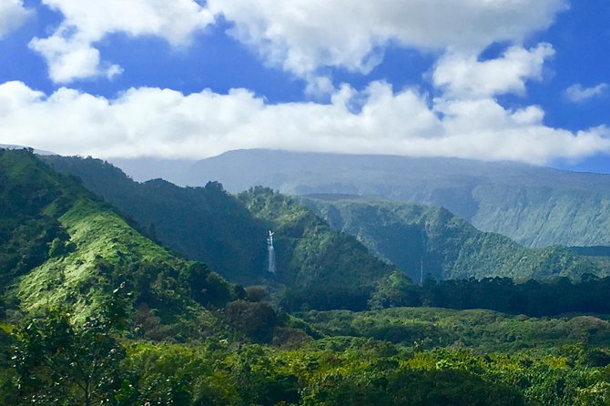 Private Road to Hana Tour - Customer Feedback and Satisfaction
