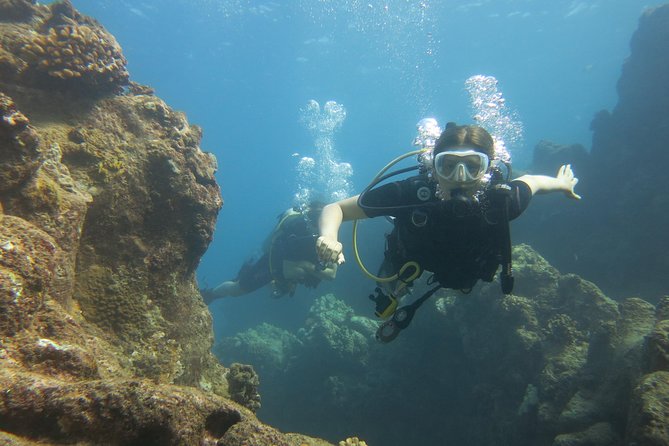 Private Scuba Diving in Lahaina - Positive Guest Feedback and Reviews