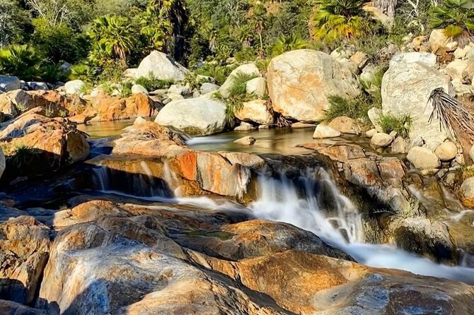 PRIVATE Sierra De Laguna Hiking & Natural Spring Swim Waterfall - Guest Reviews and Experiences