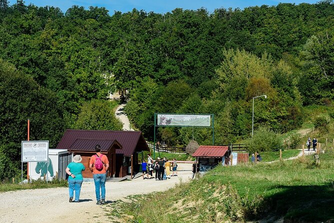 Private Tour Bear Sanctuary & City of Brasov One Day Trip - Tickets Included - Ask Away