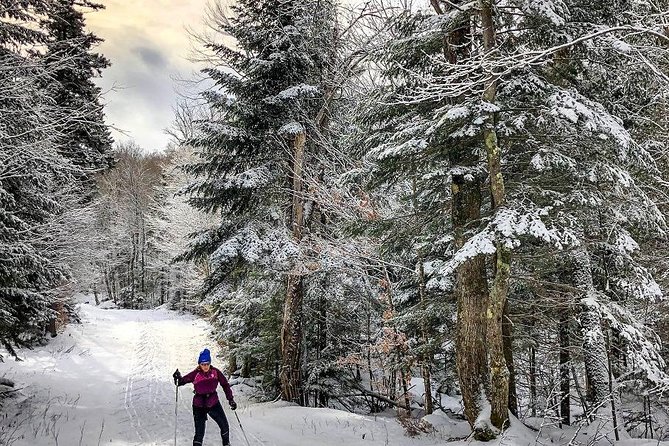 Private Tour for Snow Fun: Skiing in Czech Mountains - The Sum Up