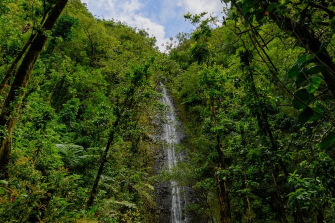 PRIVATE TOUR-Hike Diamond Head & Hawaiian Waterfall - Frequently Asked Questions