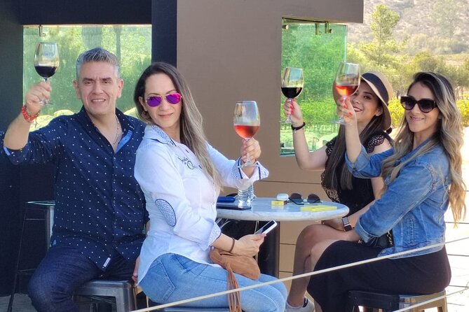 Private Tour in Guadalupe Valley, Vine Yards & Wine Route ENS MX - Wine Route Highlights