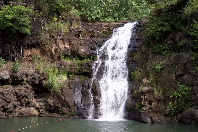 Private Tour Oahu-North Shore Ft. Waimea Falls-Admission Included - Inclusions