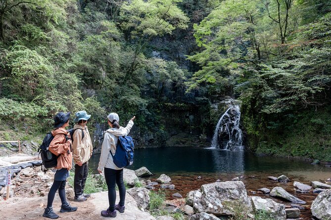 Private Tour of Akame 48 Waterfalls With Bento Making - Highlights and Experiences
