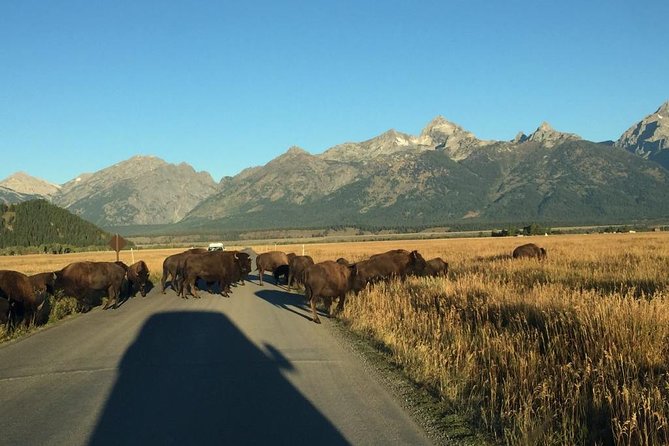 Private Tour of Grand Teton National Park - Accessibility and Flexibility