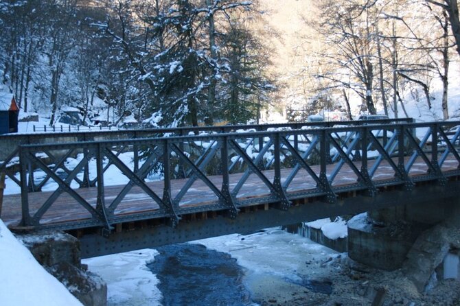 Private Tour to Bakuriani Ski Resort and the Legendary Borjomi - Tour Inclusions and Policies