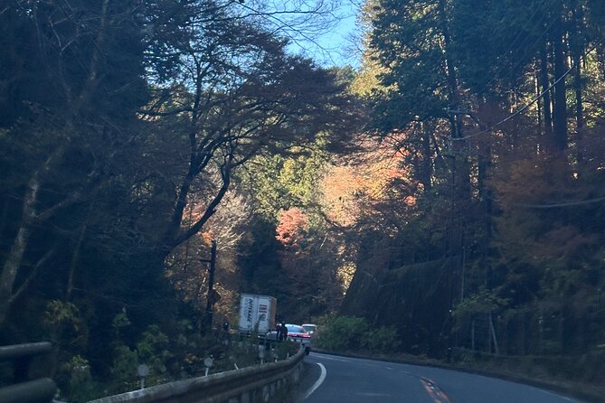 Private Tour to Mt Fuji and Hakone With English Speaking Driver - Important Information