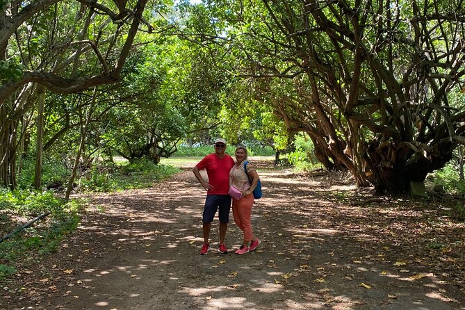 PRIVATE TOUR-Ultimate North Shore Experience - Tips for a Memorable Experience