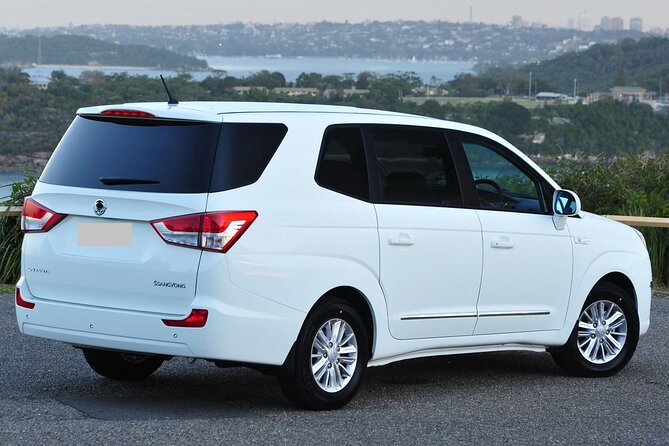 Private Transfer From Yokohama Cruise Port to Narita Airport NRT - Customer Reviews