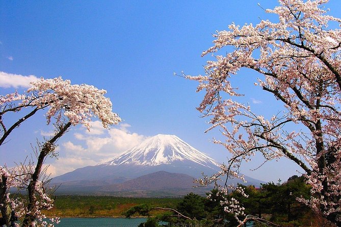 Private Transport Mt Fuji and Hakone 1 Day Trip - Itinerary and Schedule