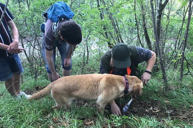 Private Truffle Hunting in Slovenia With Meal - Zdenko Tartufi - Exploring the Region