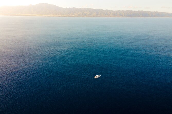 Private Whale Watching Tour of Oahu - Booking and Confirmation Process