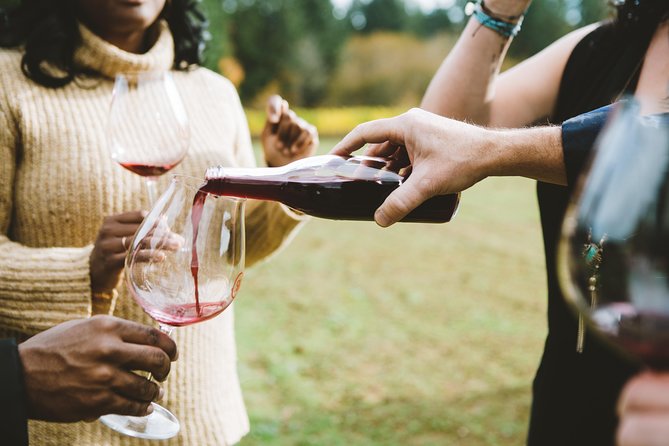 Private Wine Tour With Local Sommelier Review - Pricing and Reviews