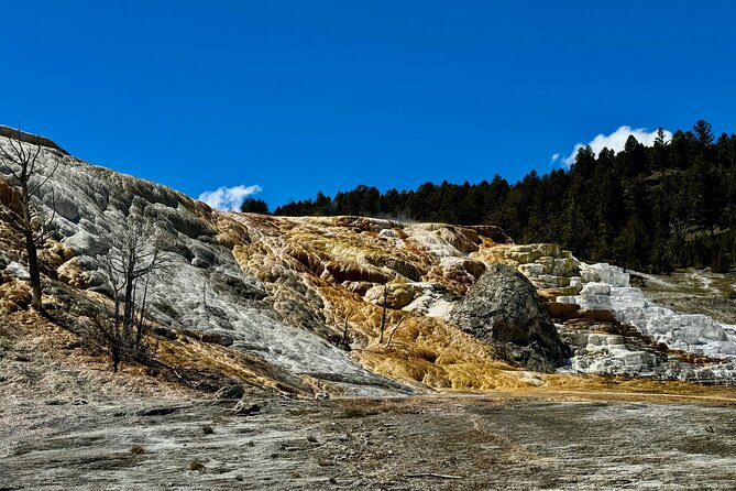 Private Yellowstone Wildlife and Photo Tour's Upper Loop Cody Wy - Photographic Opportunities