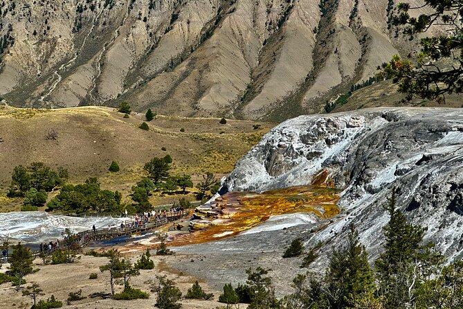Private Yellowstone Wildlife Tour Review - The Sum Up