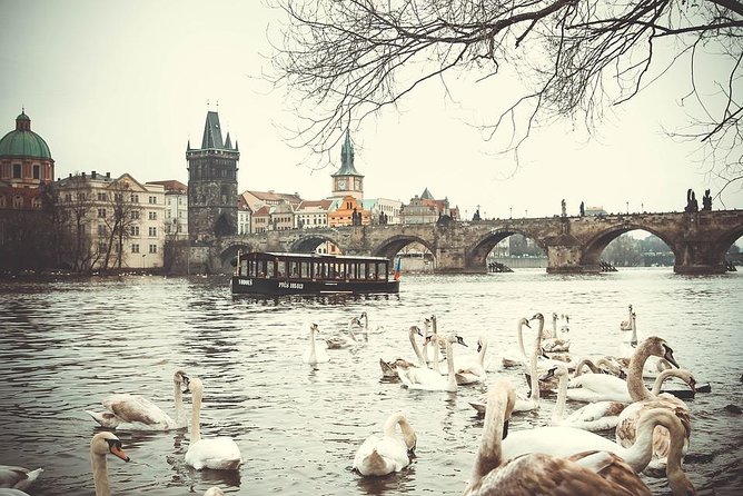 Professional Guides Walking Tours-Prague Day&Night (1-2pers) - Ask Away