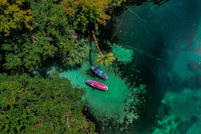Rainbow Springs Paddle Board Adventure Review - Booking and Cancellation Policy